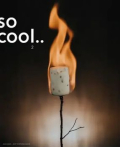 'So Cool No2 Magazine So Cool No2 Magazine